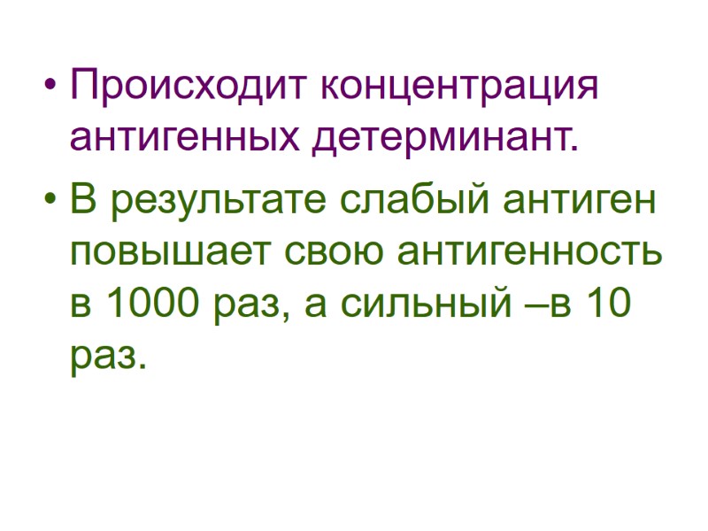 Происходит концентрация антигенных детерминант. В результате слабый антиген повышает свою антигенность в 1000 раз,